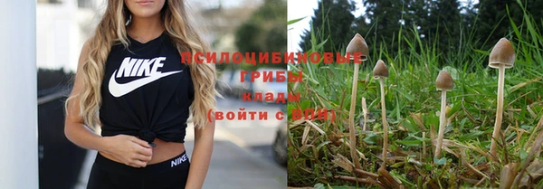 тгк Волосово